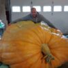 New Godzilla 2,200 lb  pumpkin 2023