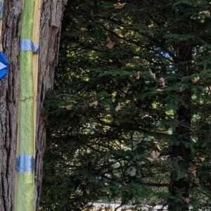 121 Maydan ' 25 - 4 seeds