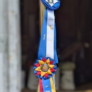 125.5 Maydan '25 - 4 seeds