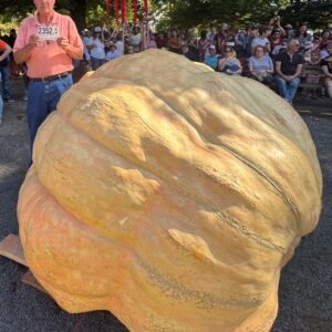 2352.5 Ciliberto '25 - 2 seeds