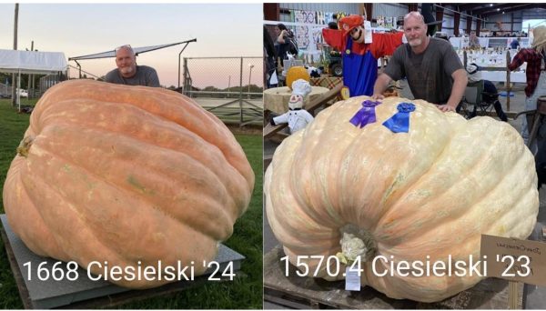 Ciesielski Combo PACK (1668 & 1570) - 3 SEEDS EACH