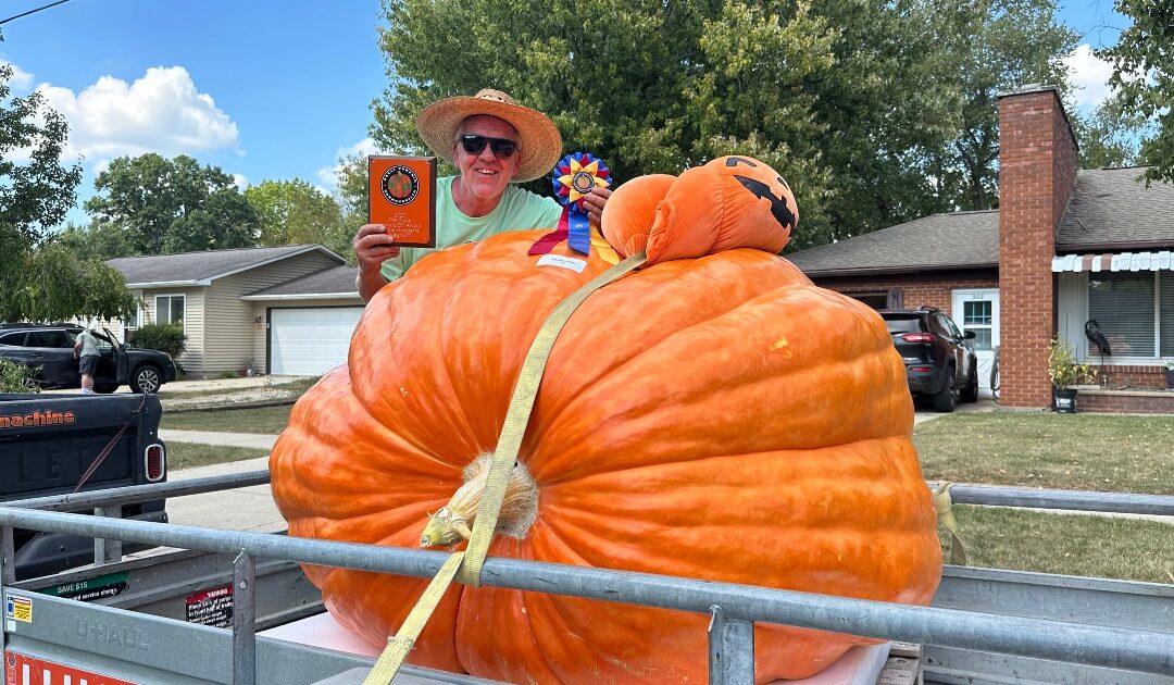 Growing 2 Giant Pumpkins on 1 Plant Contest