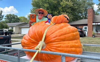 Growing 2 Giant Pumpkins on 1 Plant Contest