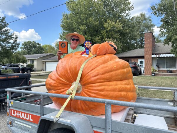 2025 Clementine 1532 pound pumpkin HD prize winner