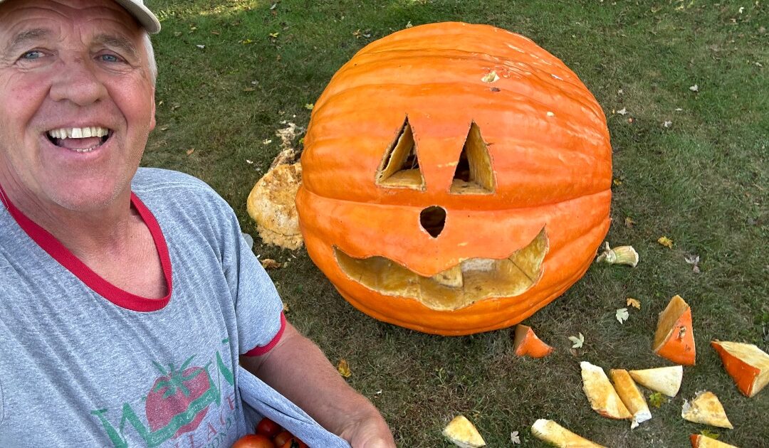 Milking Pumpkins ? Truth or Myth ?