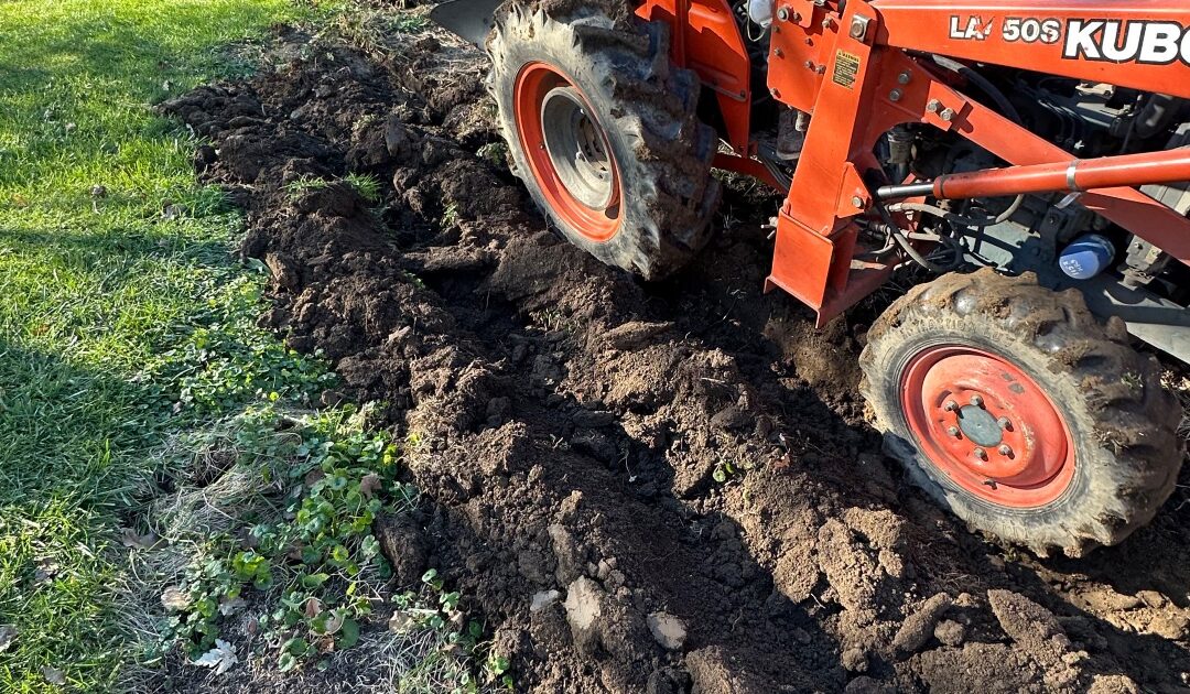 Top tips for your October garden