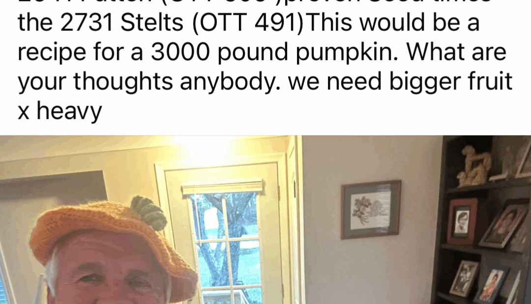 3000 lb Pumpkin the Seed to Grow it ?