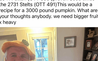 3000 lb Pumpkin the Seed to Grow it ?