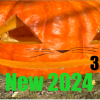 New 355 lb Clementz (kitty cat) - Image 3