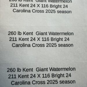 Carolina Cross Watermelon Seeds