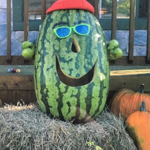 Big Giant Watermelon Seeds