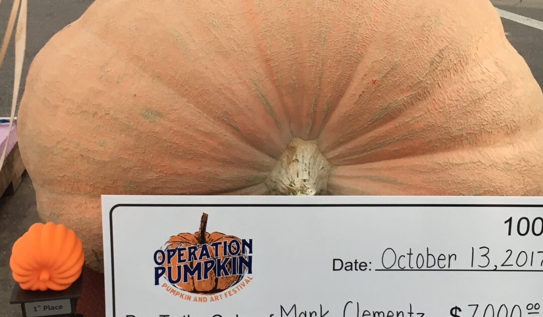 Giant Pumpkin Used For Deer Bait