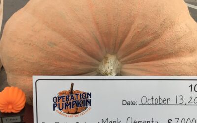 Giant Pumpkin Used For Deer Bait