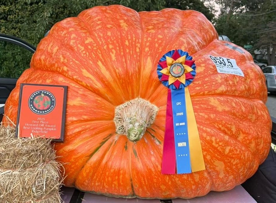 953.5 Keegan '25 - 2 seeds