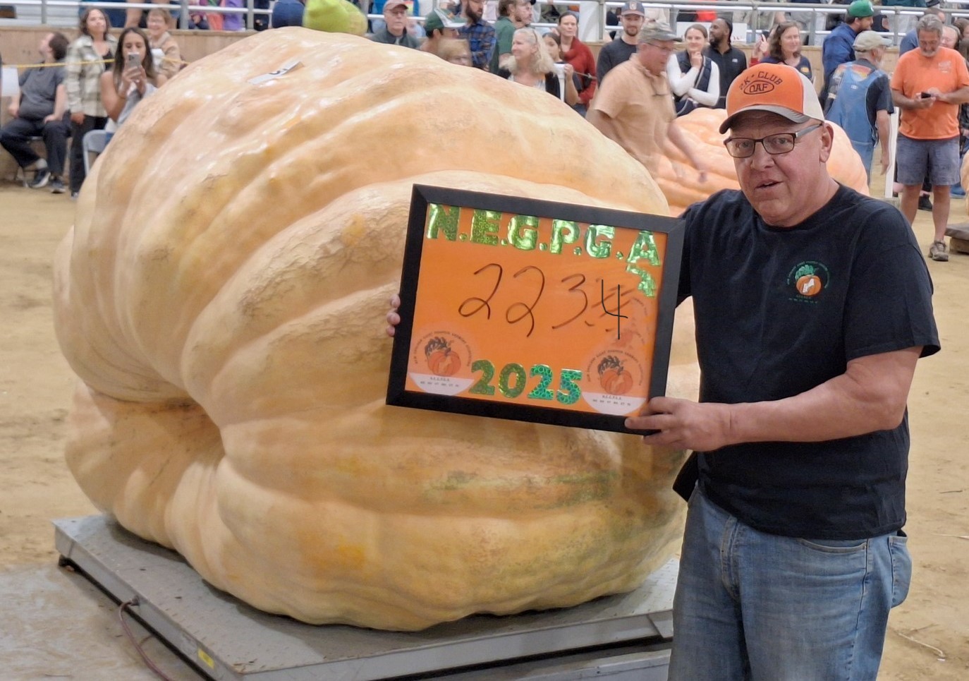 2234 Kruszyna '25 - 2 Seeds