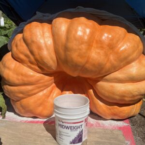 2212.5 Masters '25 and 2181 Masters '25 - 1 seed each