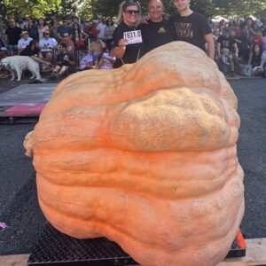 1931 Scott ' 25 - 2 seeds