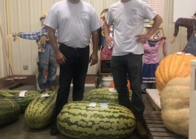 giant watermelon