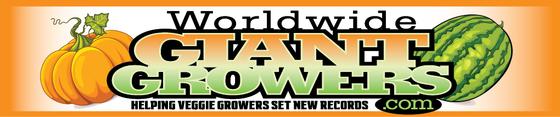 5.21 lb Vander Wielen Tomato Seed - Worldwide Giant Growers