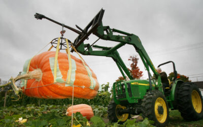 Top 10 Mistakes to Avoid When Growing Giant Pumpkins (and How to Fix Them)