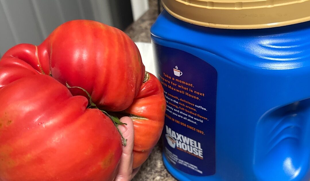 Beef Steak Tomatoes Domingo