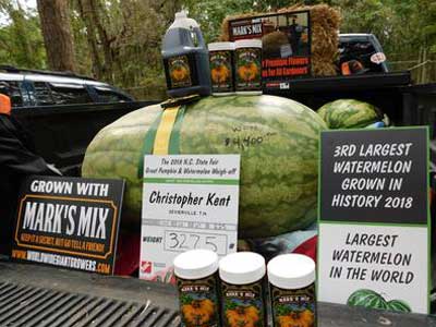 Chris Kent’s Record Watermelon