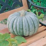 Jarrahdale Pumpkin (Blue) - 10 seeds