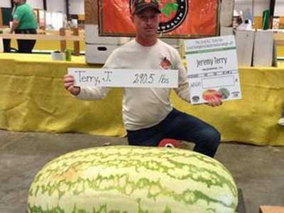 Giant Watermelon